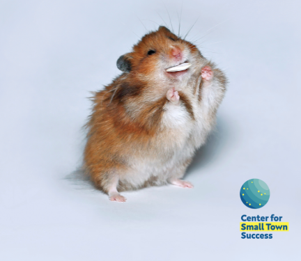 Hamster. I know life is hard for you…